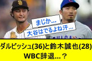 【動画】鈴木誠也、WBC辞退確定の交代選手が話題に❓❗