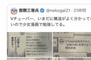 【悲報】少女漫画「バチャ豚を馬鹿にする漫画載せますw」→オタク「ヘイトスピーチだこれ」