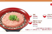 腹が減ったからすき家のネギトロ丼を食ってくる