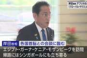 岸田「仕方ない…687億円を皆の為に使おう」