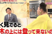 【画像】有吉「ゾンビからの安全地帯は木の上。登ってこれないよ」マツコ「海の上も安全よォ！」