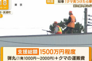 【速報】秋田県「クマを見つけたら撃つ」市街戦開始、ビル屋上にスナイパー配置完了