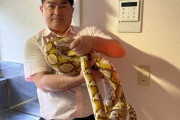 アミメニシキヘビ逃走騒動を終わらせた専門家の“天才的推理”