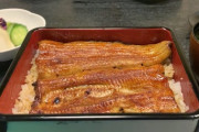 東京は日本橋『喜代川』にてうなぎを食す　海外の反応