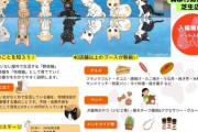 【猫好き必見！】10月12日に入場無料「地域猫マルシェ in 蒲郡」が開催！