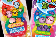 【悲報】このタイプのガム、もう売ってない