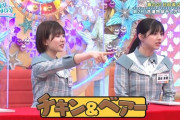 【日向坂46】一斉を風靡したあの丹生私服が再び登場ｗｗｗｗｗｗｗｗ