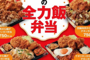 【朗報】かつやの弁当、非の打ち所が無い
