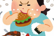 【画像あり】31歳クソデブ女だけど食べ過ぎかな？