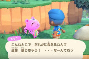 【あつまれどうぶつの森】ワタシ系とアタイ系って仲悪い？相性ってあるのか…