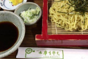 【朗報】「つけ麺」「油そば」に続く第三のトレンド、「ざる中華」に決定する
