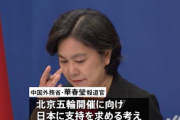 中国外務省「日本君、北京五輪支持をよろしくね。東京五輪支持してあげたよね？」　日本「…」  [668024367]