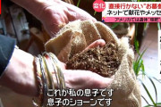 遺体を堆肥に還す「コンポスト葬」 日本での実施に約7割が賛成