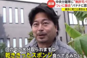 【悲報】2年間欠かさず水やりして育てた無許可バナナ伐採　植えた男性「乾ききったスポンジ食べてるみたい」と一口食べて吐き出す
