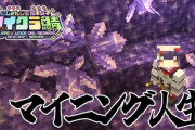 【にじ若手女子マイクラ 】七瀬、マイクラマイクラ案件マイクラの精神や