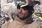 【朗報】トルコ地震で129時間ぶりに救出されたネコ、救助隊に懐きまくってしまう