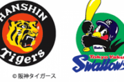 阪神（基本Aクラスです、優勝できません）、ヤクルト（優勝と最下位を繰り返します）←こいつら