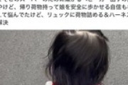 【X】子育てパパ「子供にハーネス付けるのマジでペットみたいで嫌な気持になる」→アカウント削除して逃亡