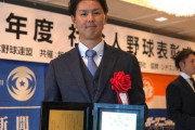 プロ野球で戦力外通告受けたやつでもMVP最多勝取れる社会人野球wwww