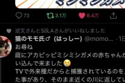 【炎上】Twitterでバズった女性、ありえない早さで商品展開してしまい炎上