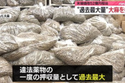 【東京港】過去最大 大麻1トン52億円相当密輸　ベトナム国籍の女ら逮捕