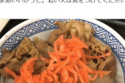【国民民主党】岸本周平議員「牛丼チェーン店で牛丼を頂いた。成長ホルモンや成長促進剤を使ったアメリカンビーフの可能性が高く、健康には悪いのですが〜」⇒ 謝罪