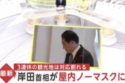 【悲報】外国人観光客さん、日本にやって来るもマスクだらけでびっくりしてしまう