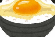 【画像】ツイッター「最高に美味しい卵かけご飯作ったよー」→16万いいね！→日本TKG医学会「！！！」ｼｭﾊﾞﾊﾞﾊﾞ