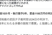 【悲報】「薬屋のひとりごと」脱税版の作画担当、懲役10ヶ月・執行猶予3年＆罰金1100万円
