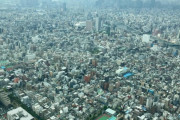 外国人「東京は奇妙だ、上から見ると巨大で気持ち悪いけど行くと快適なんだ」