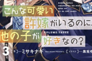 ラノベ「こんな可愛い許嫁がいるのに、他の子が好きなの?」最新3巻予約開始！仁義なき正妻戦争の行方は――！？