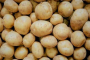 【ポテト王国】ベルギーでジャガイモ余りが深刻化 価格ゼロに