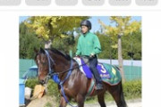 【競馬】今年の関西G1は…