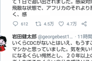 【悲報】日本政府、クルーズ船から感染症対策の専門家を追放。専門家がYouTubeで怒りの告発