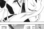 BLEACHの斬魄刀は持ち主の性器を表しているとかいう裏設定