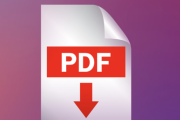 【速報】「pdf」の読み方、「パデフ」だった