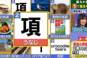 【欅坂46】ヒロミさん「武元さんすごいよ！大活躍だよ」武元唯衣の正解率にMC大絶賛！【東大王】