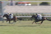 【競馬/新馬】クリアザトラック強すぎワロタｗｗｗｗｗｗ