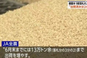 【速報】JA全農、出回ってないの声に焦る「備蓄米出荷は3%じゃなくて24%になったから、来月末までに66%に増やす」