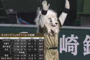 ワイルドユニ　13勝9敗　勝率.591