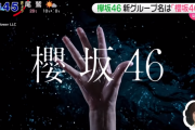 【欅坂46】幻の選抜9thシングルを発売出来ていたら未来は違ったんだろうか…？