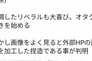 【悲報】フェミ「ギャオオオン！温泉むすめオタクがタバコポイ捨てしてたのお！」→嘘でした・・・・