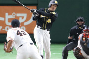 阪神タイガース在籍選手の高校通算HR1位wxwxwxwxwxwxwxwxwxwxwx