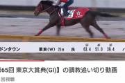 ●東京大賞典展望
