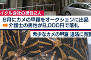 【カメの甲羅】介護士「おっ、これカッコいいな買お、ﾎﾟﾁ」→逮捕