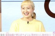 丸山桂里奈さん「サムライブルー、優勝する気がする」→「何のサッカー知識もない素人」と批判される