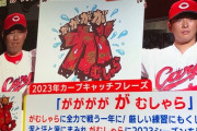 【広島東洋カープ】がががががむしゃら【キャッチフレーズ】