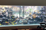 【おしゃれなリビング！】水族館並みの水槽がある家に憧れるんやが