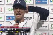 ヤクルトファン「山野辺の取説くれんか？」