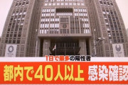 【感染拡大】ツイ民「都内で40人以上感染確認、オリンピック延期した途端にこれ」→別のツイ民「最前線で闘ってる医療従事者に石投げてるに等しい」